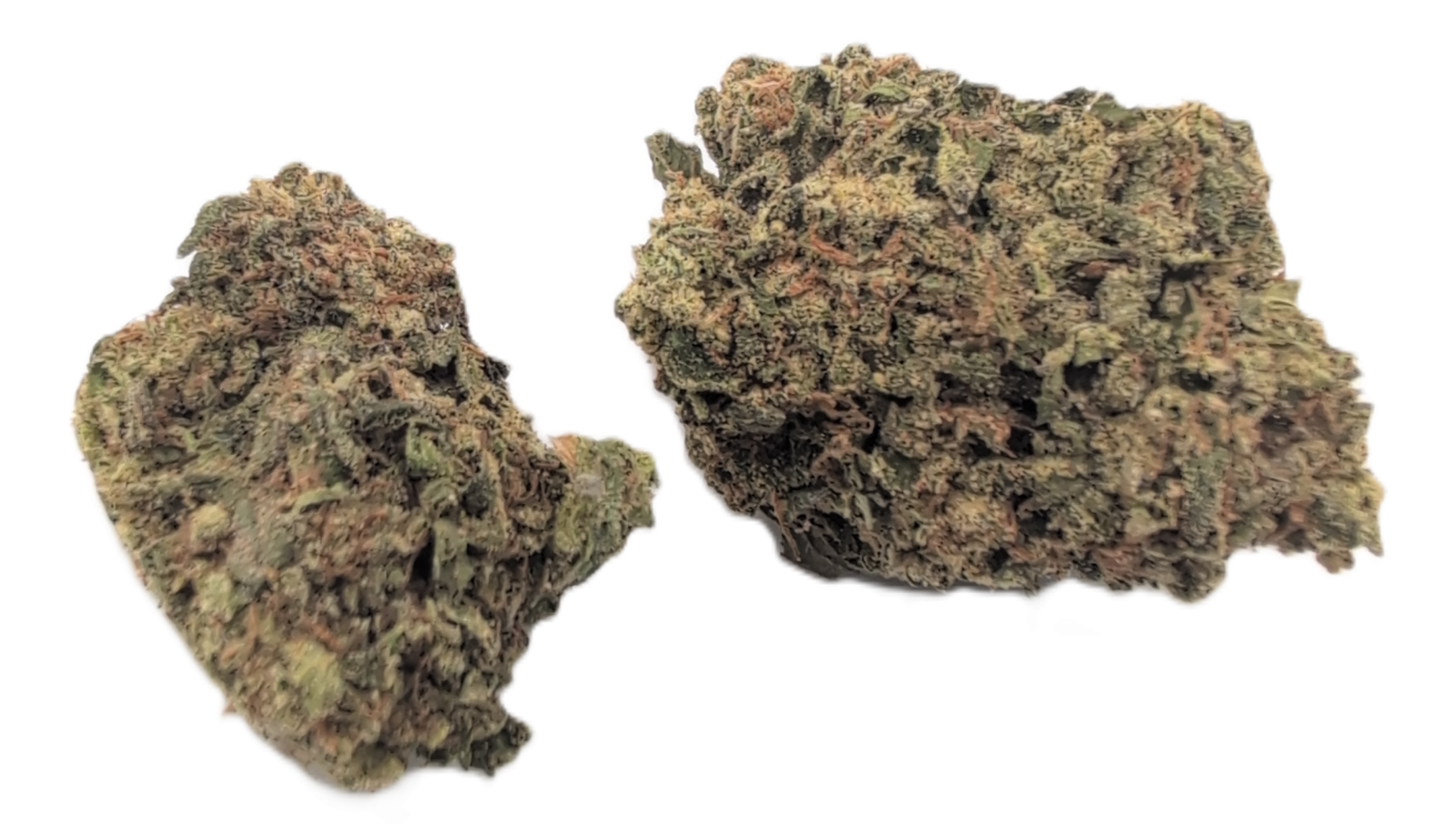 Deep Fried Ice Cream