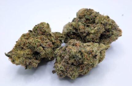 Bruce Banner #3