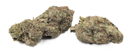 9lb Hammer x Strawberry Cough