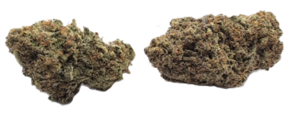 Peanut Butter Cookies